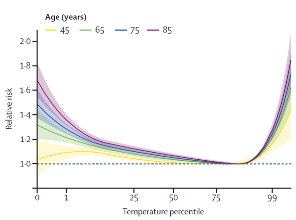 Relative Risk at Different Temperatures and Ages