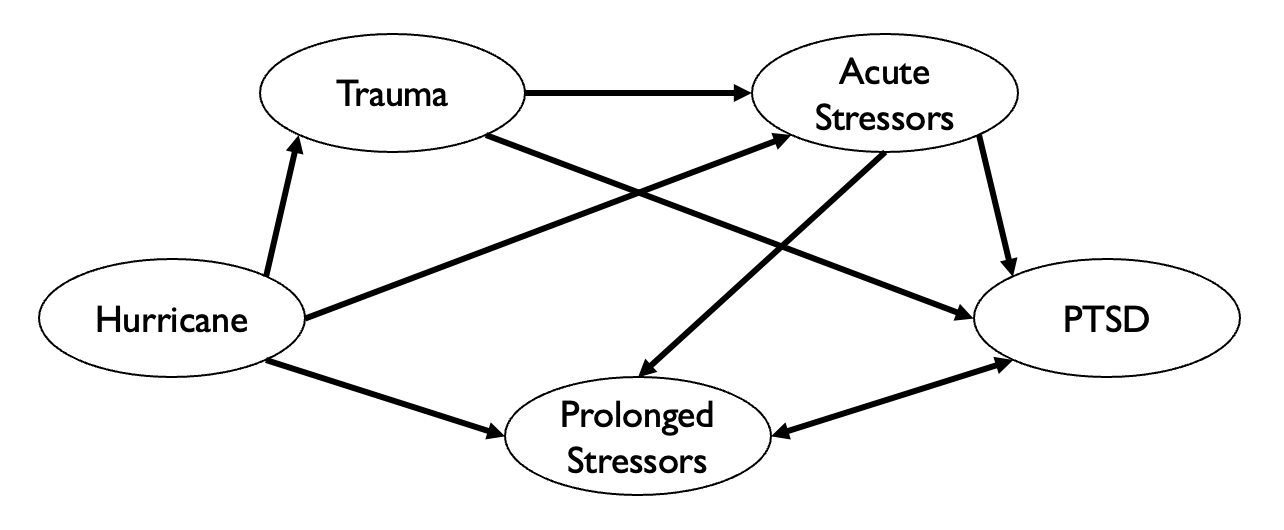 Potential direct and indirect causal pathways through which hurricanes might influence the development of posttraumatic stress disorder (PTSD).