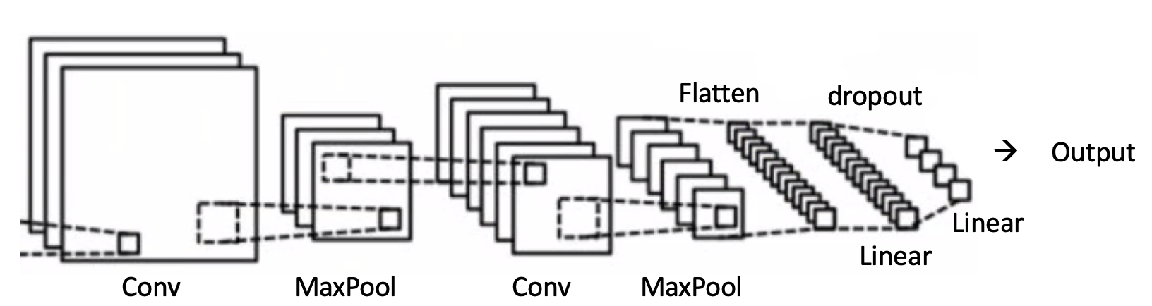 Schematic diagram of the CNN network